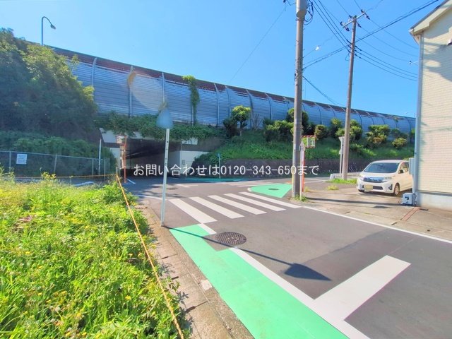 撮影日(2025-07-25 00:00:00)