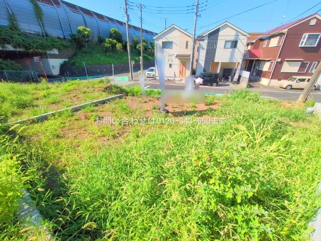 撮影日(2025-07-25 00:00:00)
