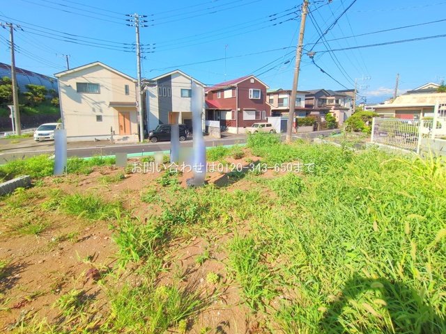 撮影日(2025-07-25 00:00:00)
