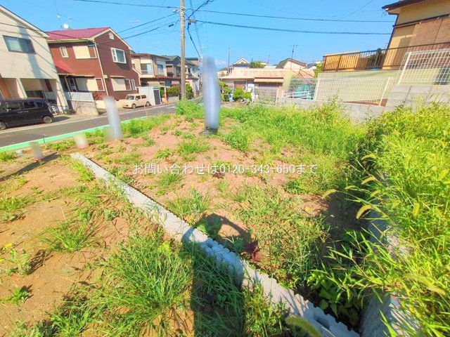撮影日(2025-07-25 00:00:00)