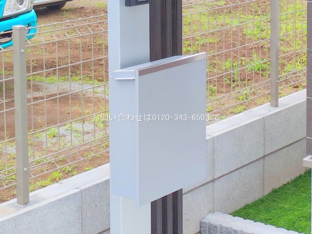 撮影日(2025-06-09 00:00:00)