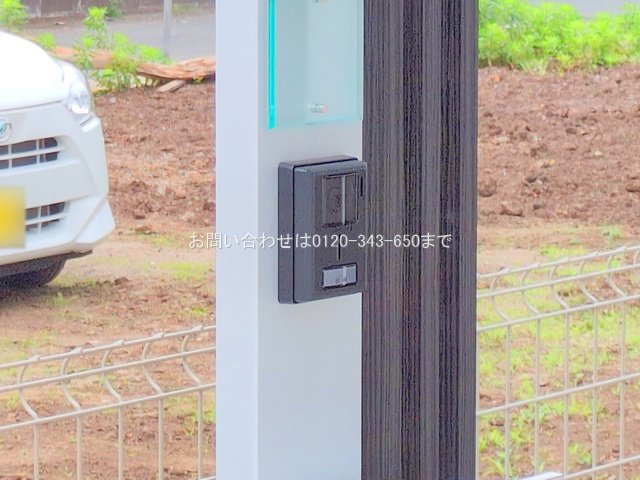 撮影日(2025-06-09 00:00:00)