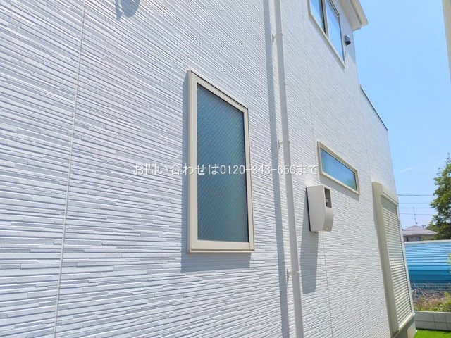 撮影日(2025-06-19 00:00:00)