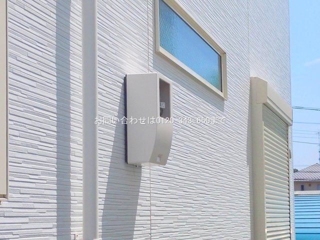 撮影日(2025-06-19 00:00:00)