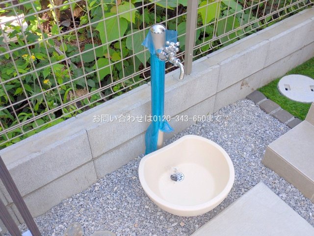 撮影日(2025-06-19 00:00:00)