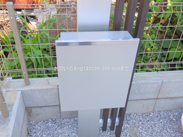 撮影日(2025-06-19 00:00:00)