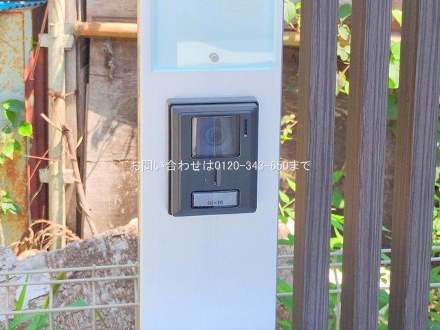 撮影日(2025-06-19 00:00:00)