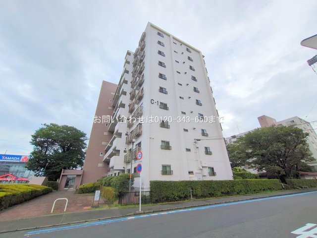 撮影日(2025-07-16 00:00:00)