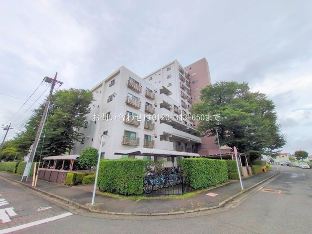 撮影日(2025-07-16 00:00:00)