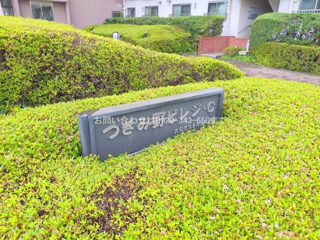 撮影日(2025-07-16 00:00:00)