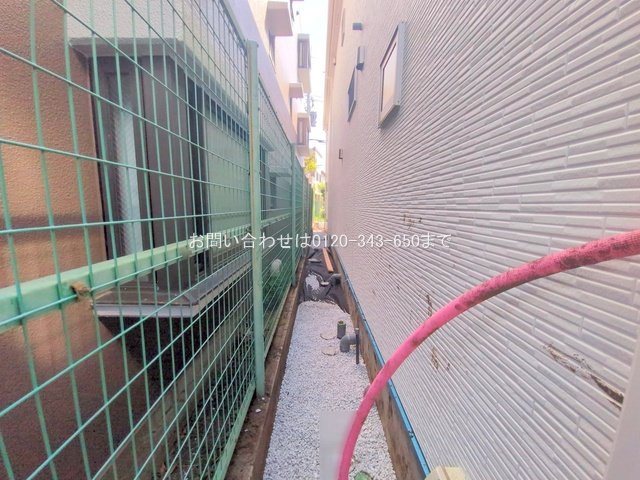 撮影日(2025-08-04 00:00:00)