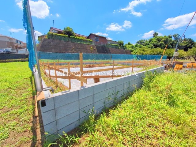 撮影日(2025-07-30 00:00:00)