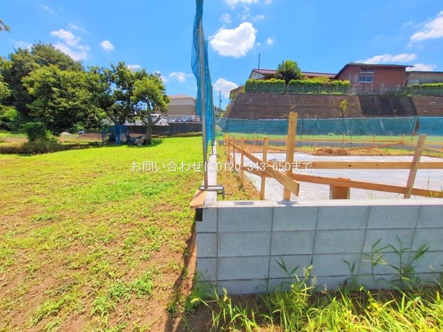 撮影日(2025-07-30 00:00:00)