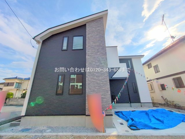 撮影日(2025-08-05 00:00:00)