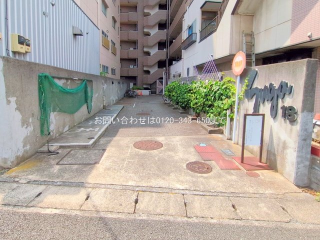 撮影日(2025-08-06 00:00:00)