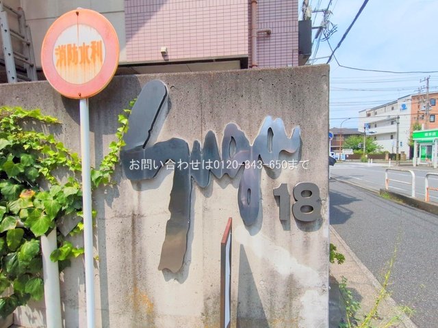 撮影日(2025-08-06 00:00:00)