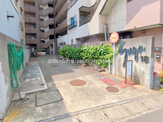 撮影日(2025-08-06 00:00:00)
