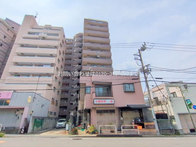 撮影日(2025-08-06 00:00:00)