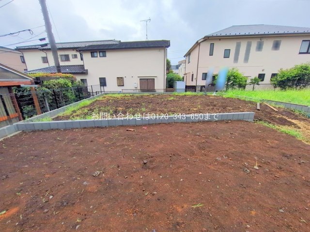 撮影日(2025-07-16 00:00:00)