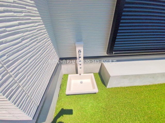 撮影日(2025-07-23 00:00:00)