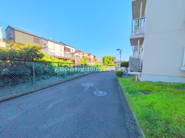 撮影日(2025-07-29 00:00:00)
