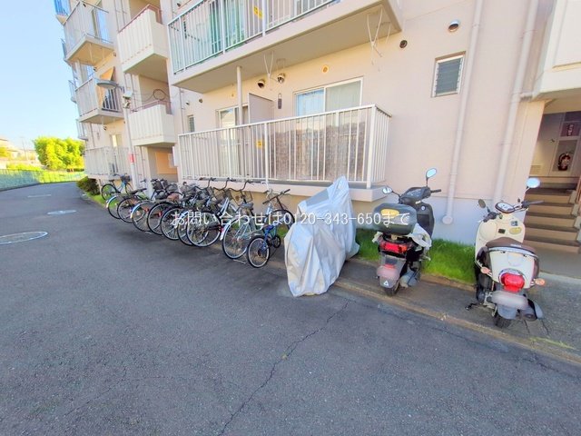 撮影日(2025-07-29 00:00:00)