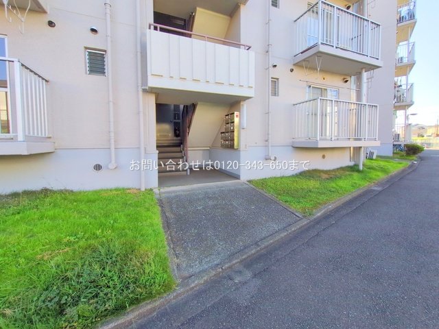 撮影日(2025-07-29 00:00:00)