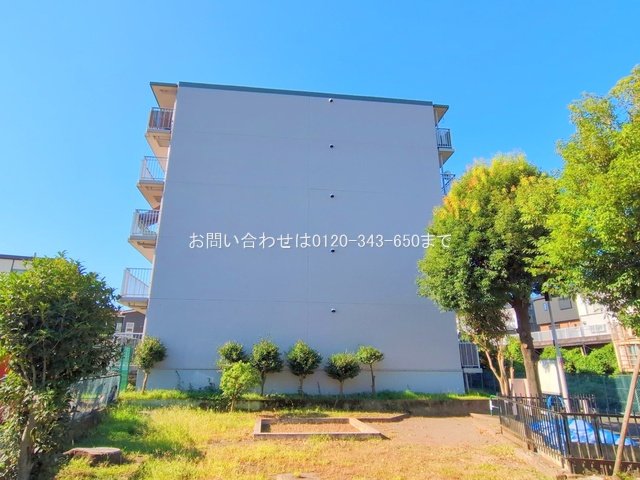 撮影日(2025-07-29 00:00:00)