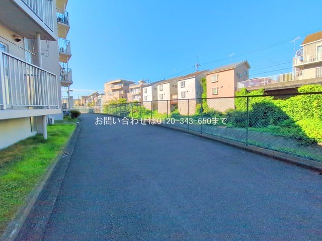 撮影日(2025-07-29 00:00:00)