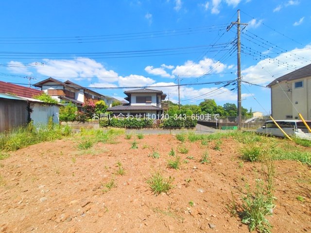 撮影日(2025-07-30 00:00:00)