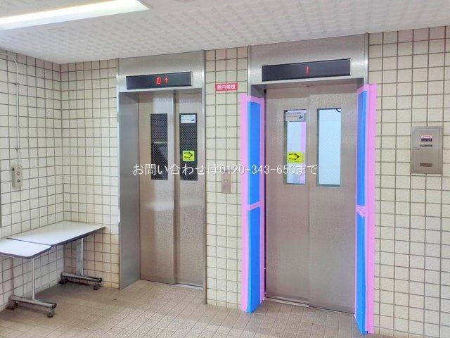 撮影日(2025-03-12 00:00:00)