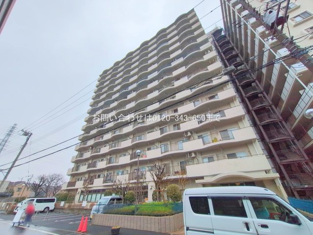 撮影日(2025-03-12 00:00:00)