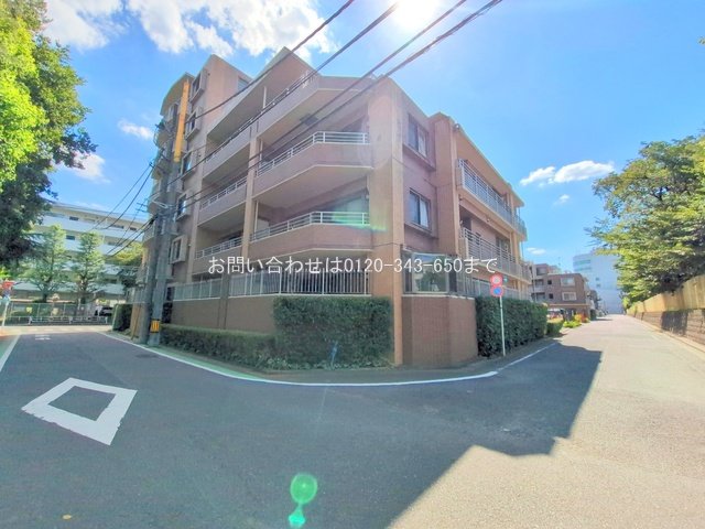 撮影日(2025-07-30 00:00:00)