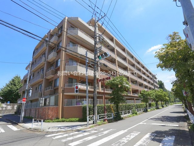 撮影日(2024-08-01 00:00:00)