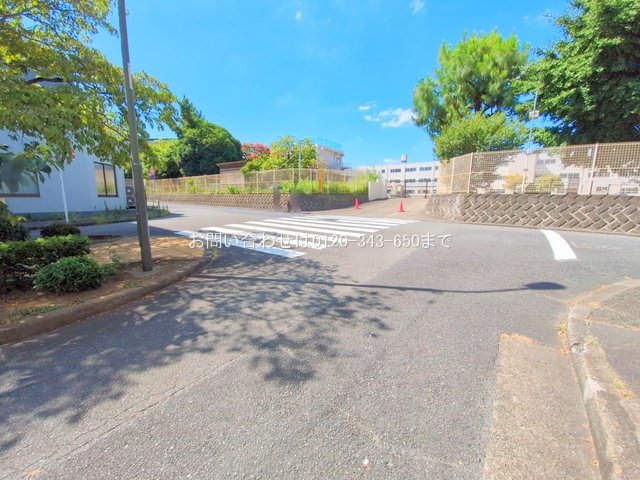 撮影日(2025-07-30 00:00:00)
