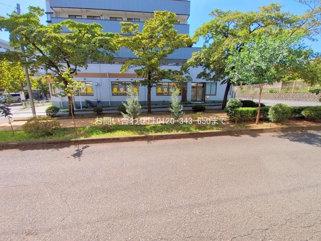 撮影日(2025-07-30 00:00:00)