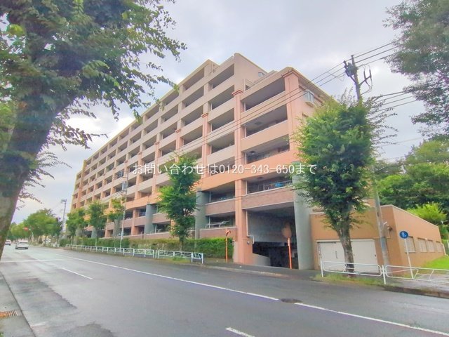 サンクレイドル八王子北野台 313