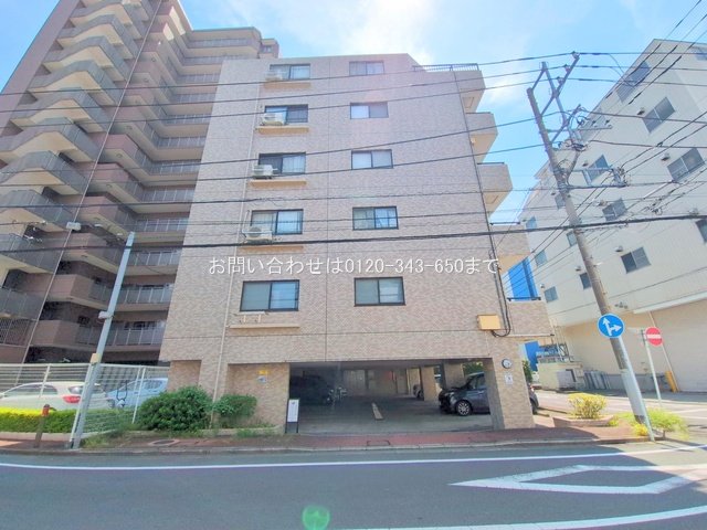 撮影日(2025-08-04 00:00:00)