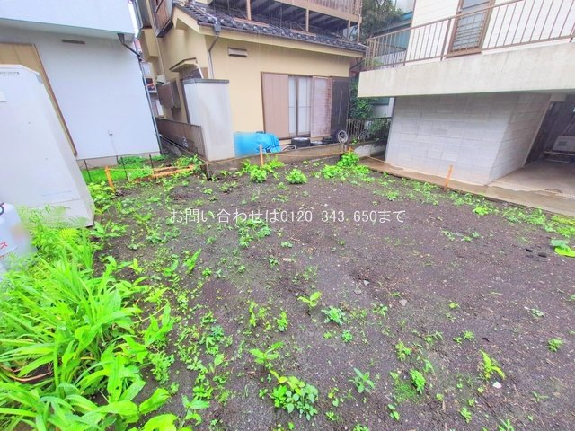 撮影日(2025-06-03 00:00:00)