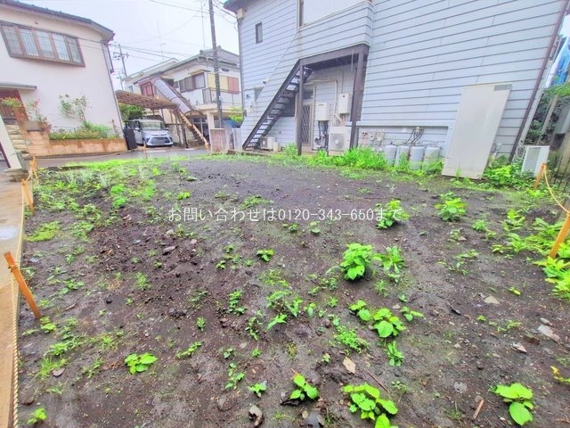 撮影日(2025-06-03 00:00:00)
