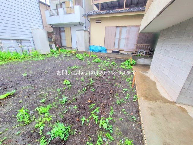 撮影日(2025-06-03 00:00:00)