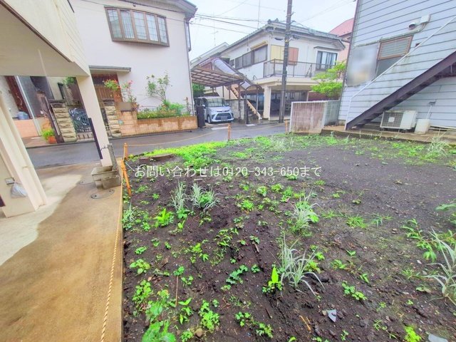 撮影日(2025-06-03 00:00:00)