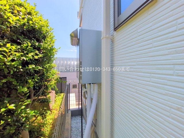 撮影日(2025-06-19 00:00:00)