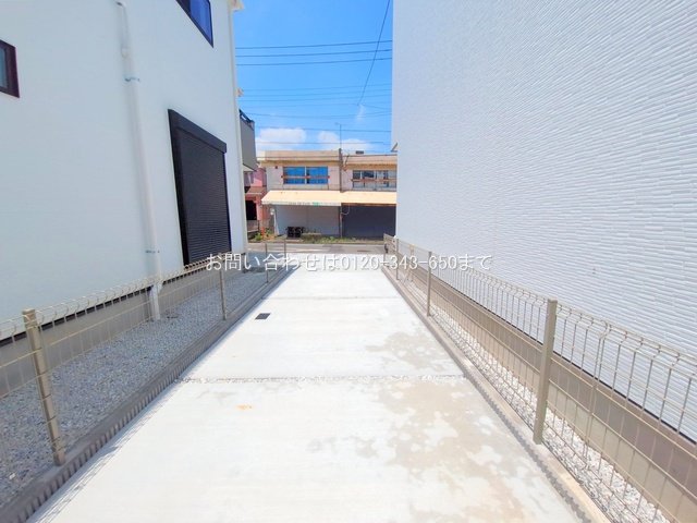 撮影日(2025-06-19 00:00:00)