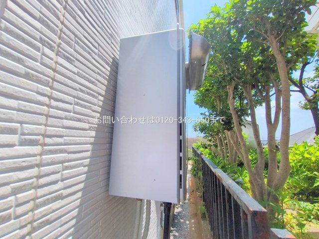 撮影日(2025-06-19 00:00:00)