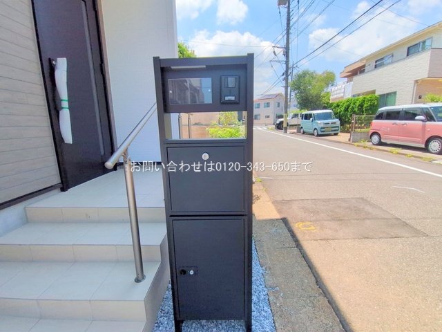撮影日(2025-06-19 00:00:00)