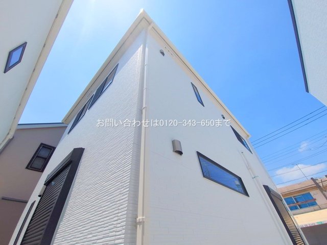 撮影日(2025-06-19 00:00:00)