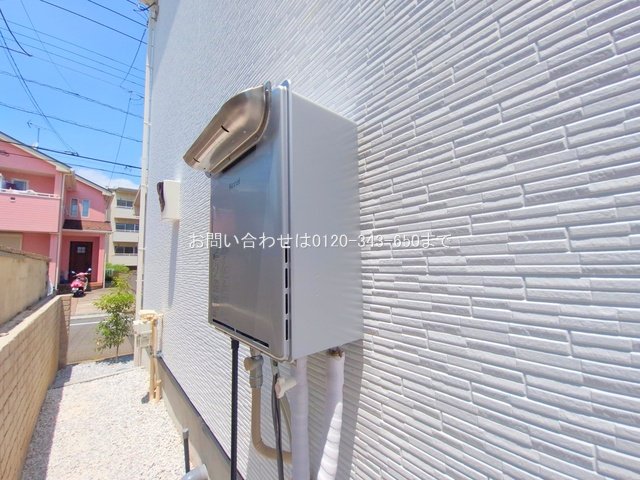 撮影日(2025-06-19 00:00:00)