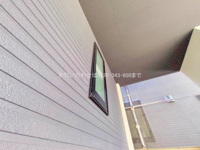撮影日(2025-07-30 00:00:00)