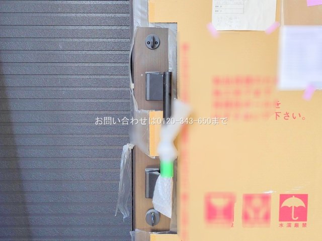 撮影日(2025-07-30 00:00:00)